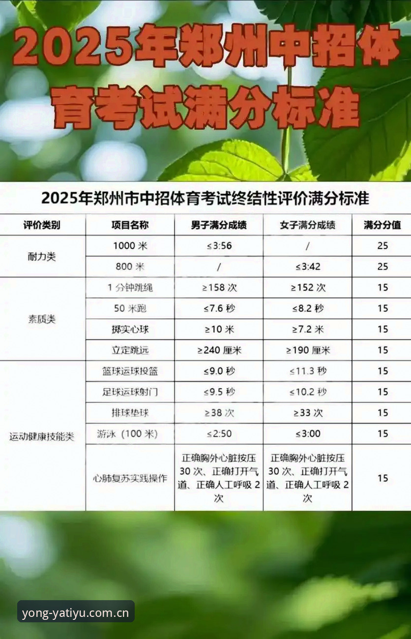 亚体育官网完整使用指南：English版功能详解与2025新版APP登录教程